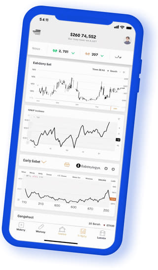 Peak Vaultex digital web application on mobile device
